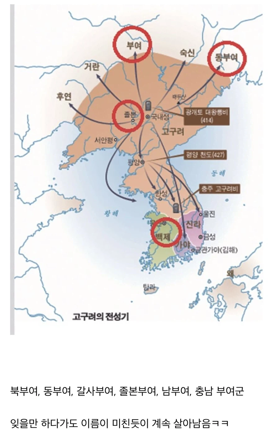 한국에서 가장 끈질기게 살아남은 이름.jpg_1.webp