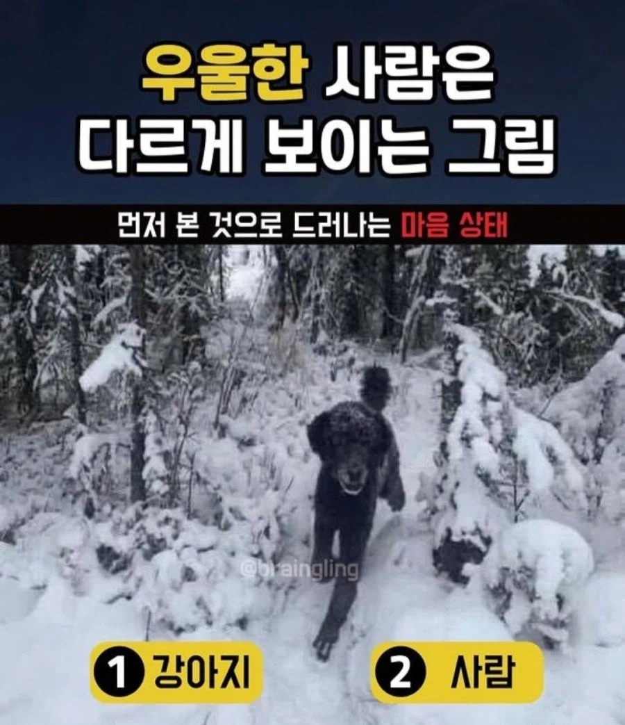 우울한 사람은 다르게 보인다는 그림_1.webp