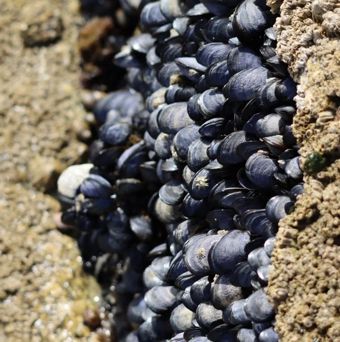 해저/해상도시나 지하도시들의 발목을 붙잡고 있는 것들_2.webp