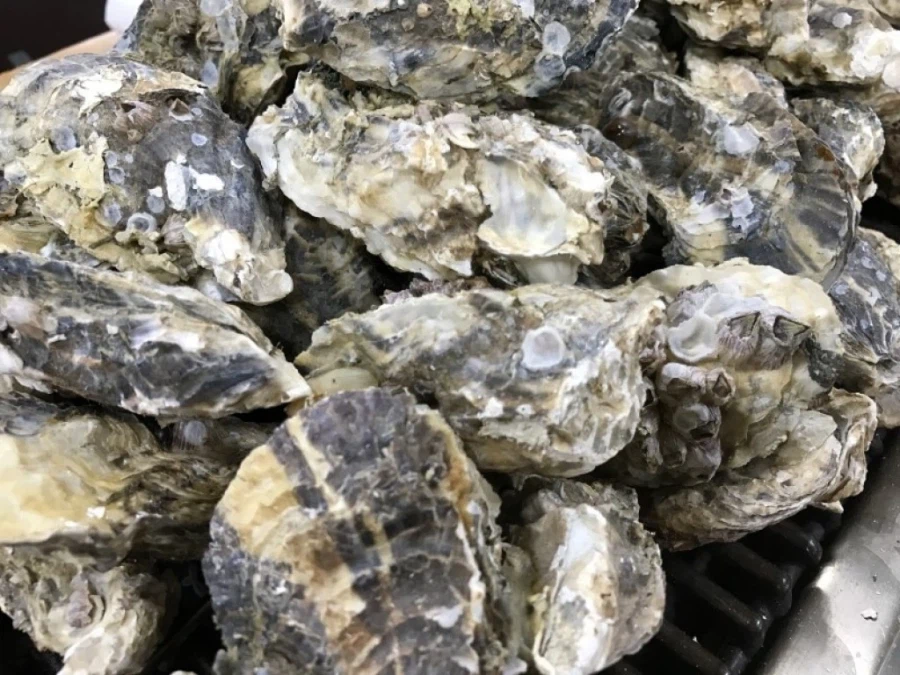 해저/해상도시나 지하도시들의 발목을 붙잡고 있는 것들_3.webp