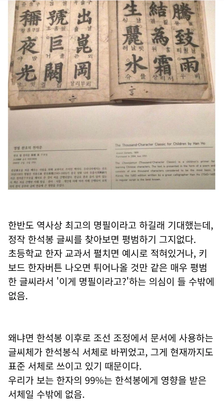 서체계의 졸트라크_1.webp