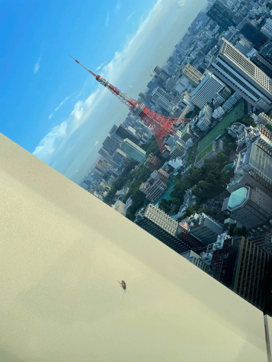 고급 타워맨션도 막을 수 없는 것.jpg_4.webp