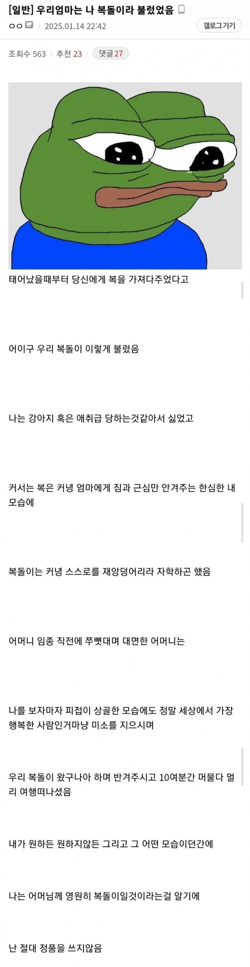 우리 엄마는 날 복돌이라고 불렀어.txt_1.webp