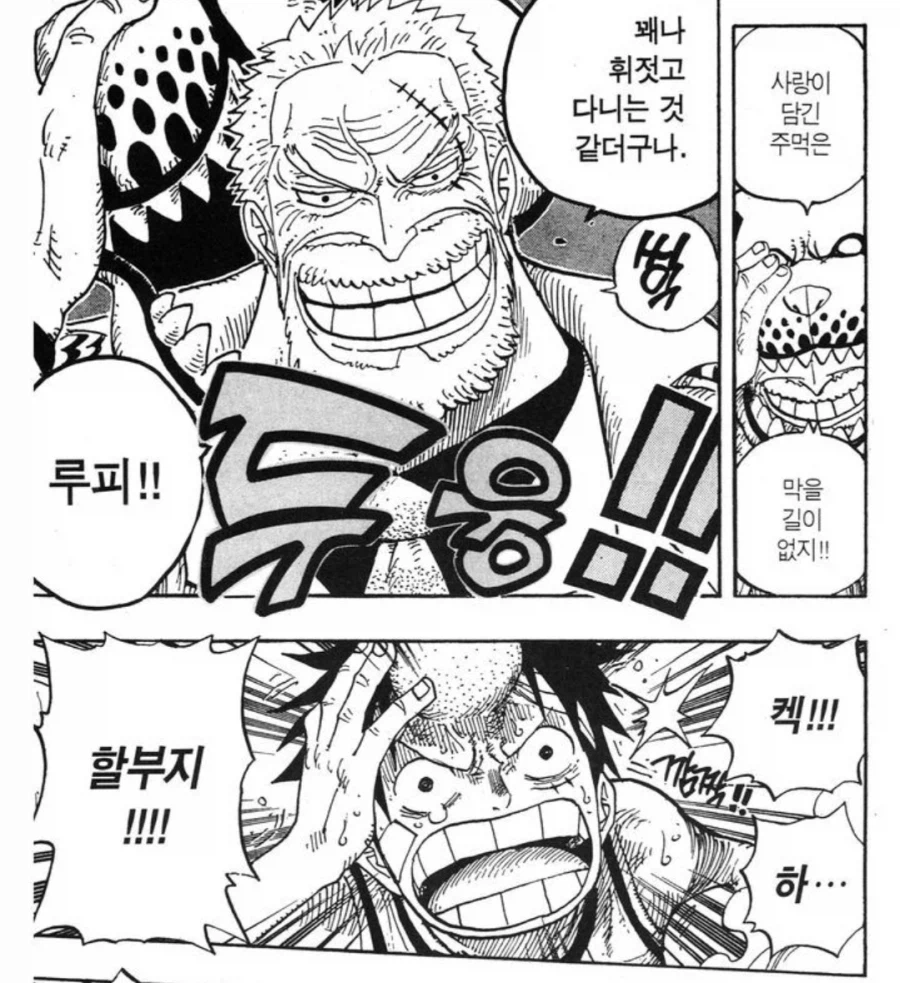 원피스에서 패기만큼 강력한 힘_5.webp