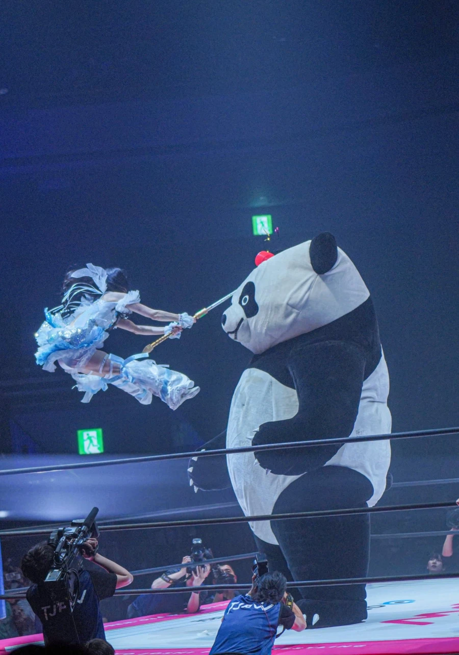 도대체 무슨 상황인지 이해도 안 되는 짤_2.webp