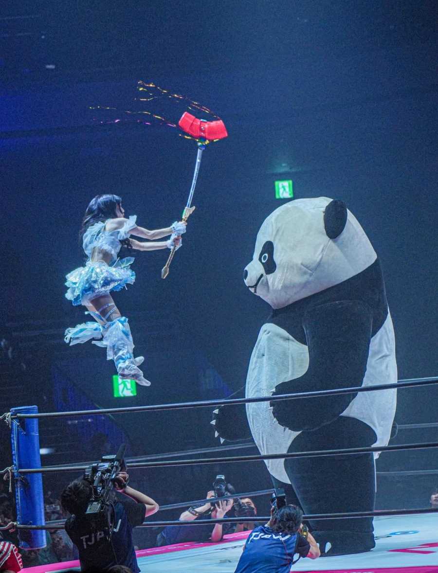 도대체 무슨 상황인지 이해도 안 되는 짤_1.webp