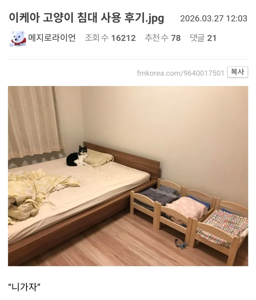 이케아 고양이 침대 사용 후기.jpg_1.webp