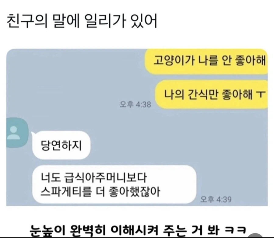 고양이가 나를 안 좋아해..._1.webp