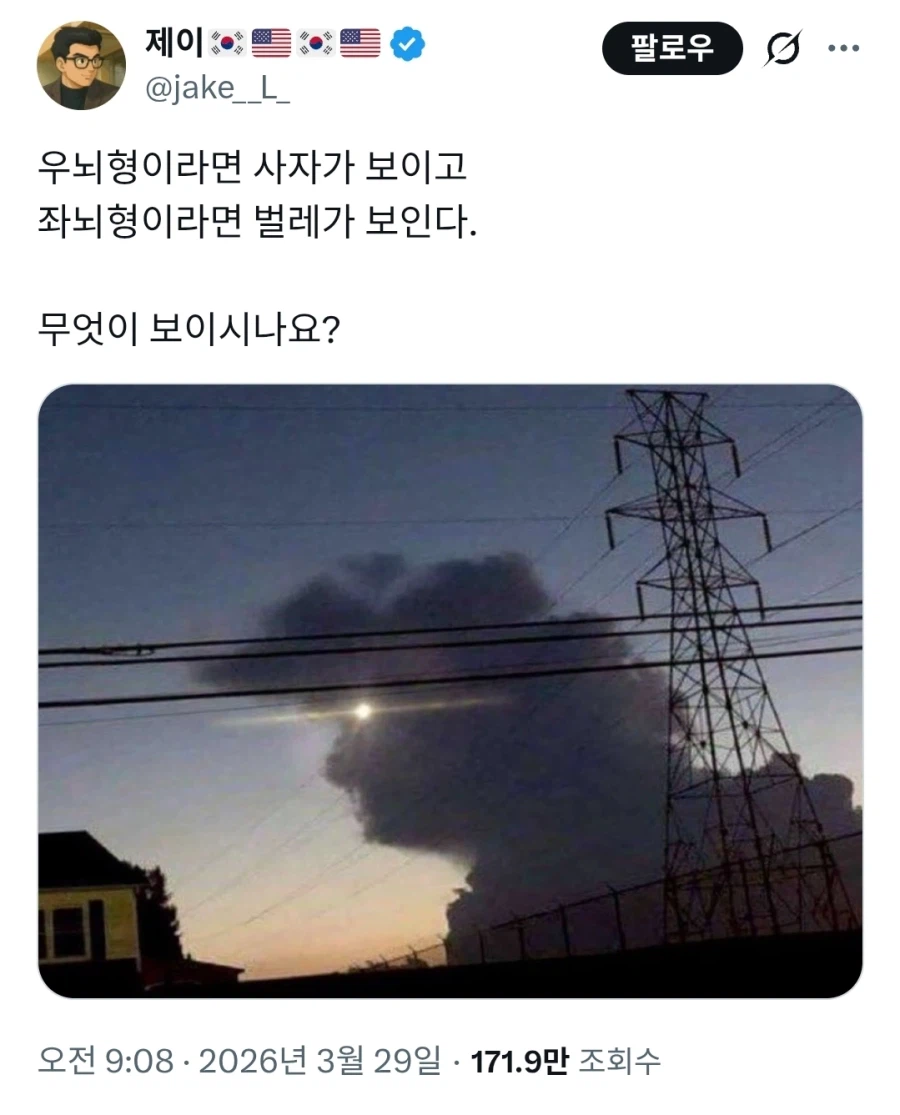 자뇌형 우뇌형_1.webp