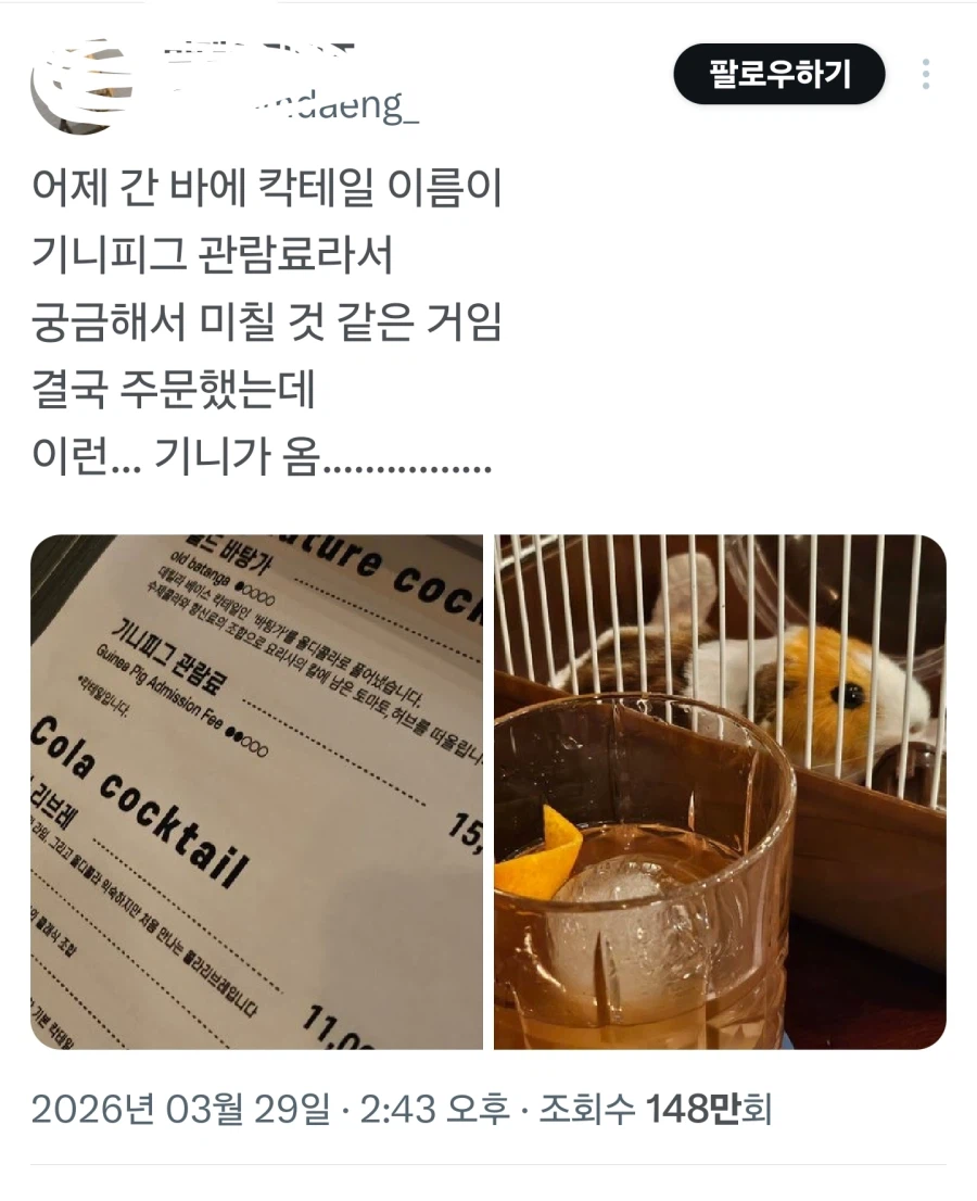 칵테일 이름이 기니피그 관람료.jpg_1.webp