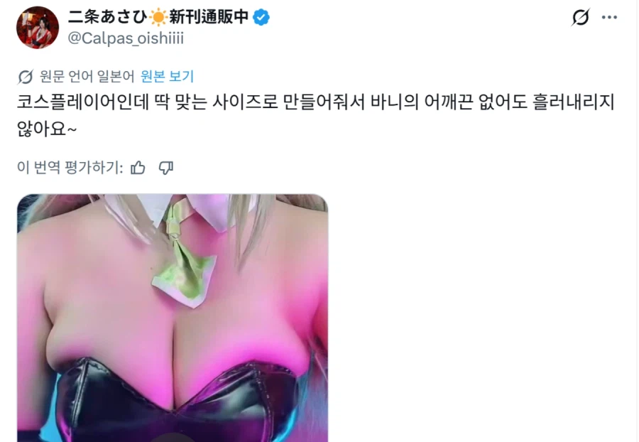 바니걸 복장에 대한 오해_2.webp