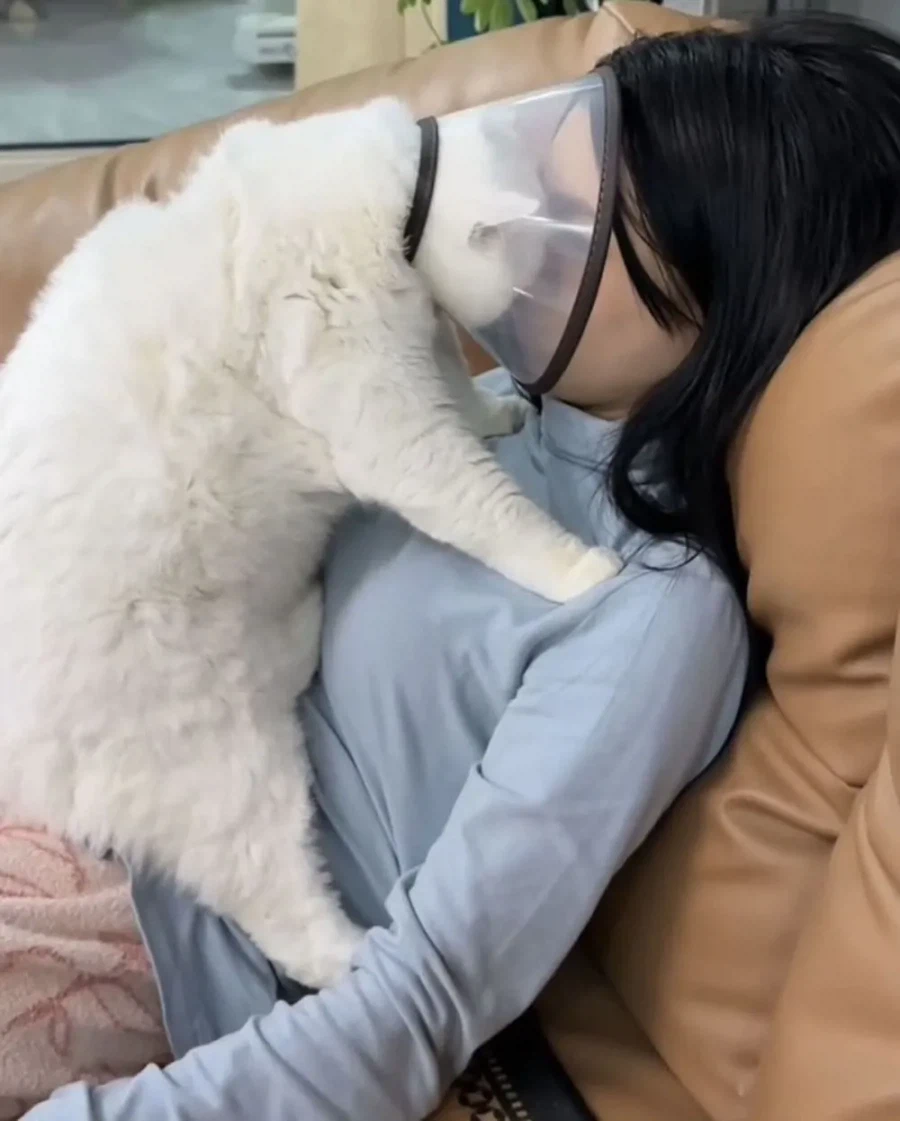 감히 나를 고자로 만들어? 집사야 뭐라도 말해봐_1.webp