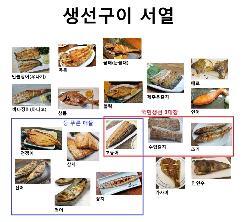 생선구이 서열_1.webp