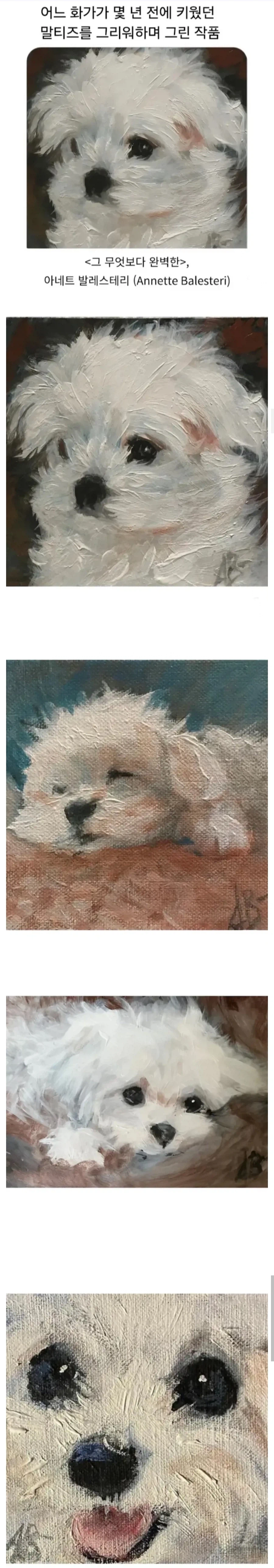 어느 화가 키우던 말티즈를 그리워하면 그린 작품_1.webp