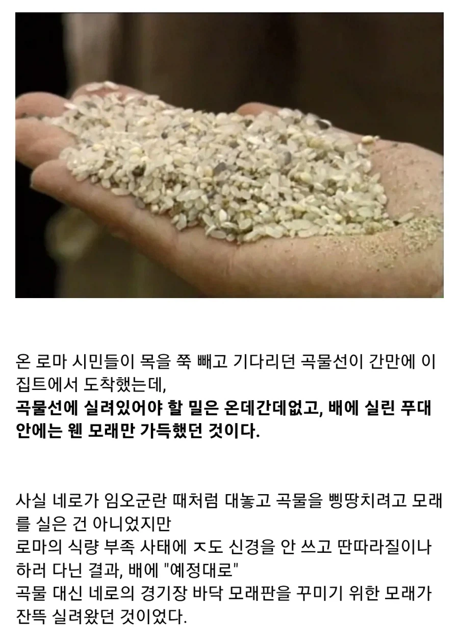 고대 로마판 임오군란_6.webp