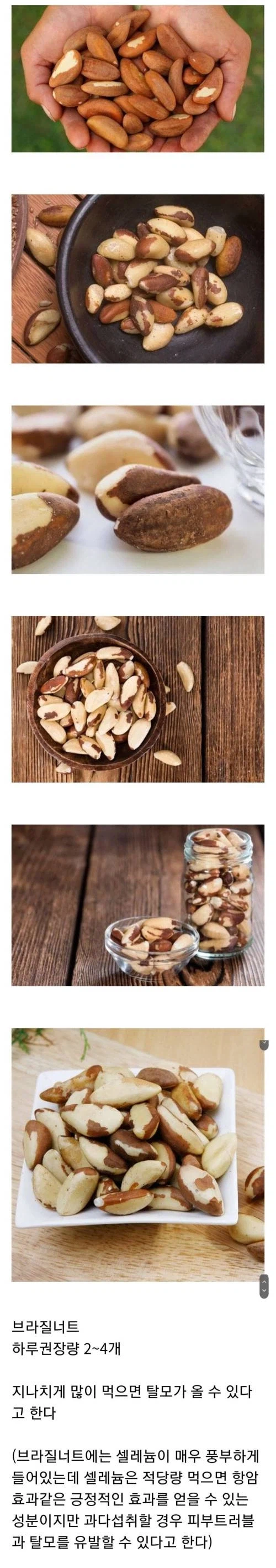 알고보면 위험한 견과류_1.webp