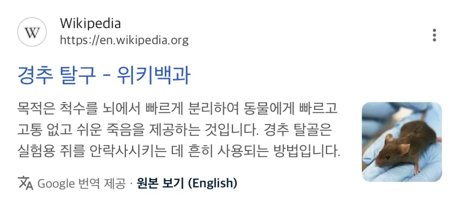 동물 안락사 방법이라는데 뭔가뭔가인 것_2.webp