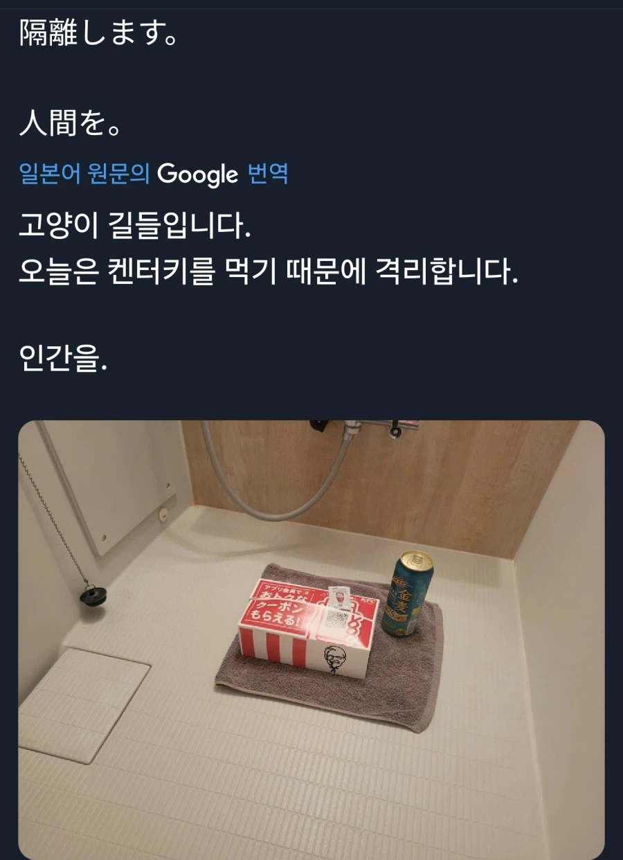 집사가 화장실에 스스로 들어간이유_1.webp