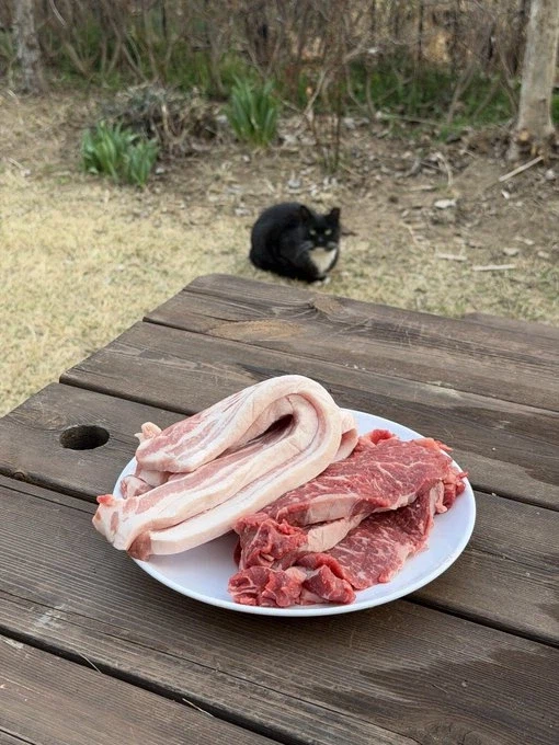 바베큐를 하려고 나오니 찾아온 불청객.jpg_1.webp