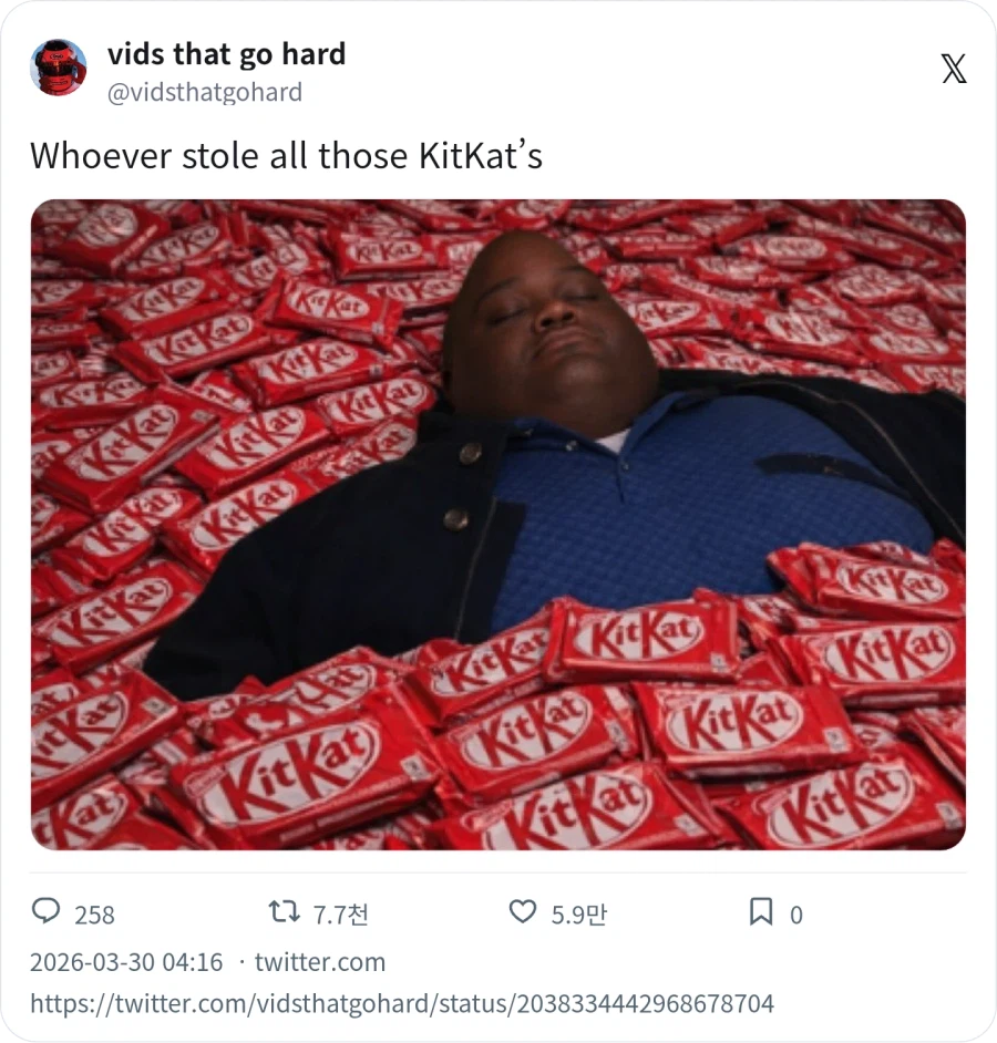 키캣 12톤 도둑 맞은거 반응_2.webp