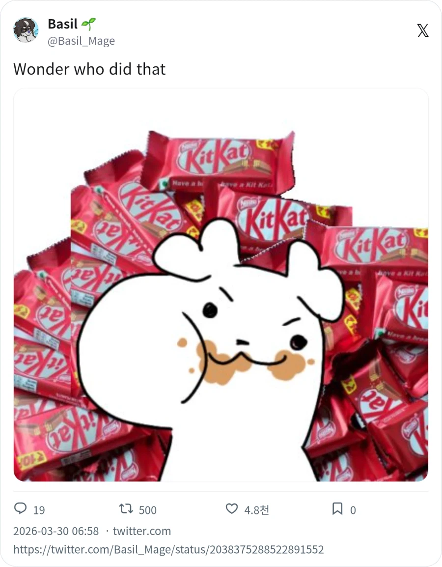 키캣 12톤 도둑 맞은거 반응_5.webp