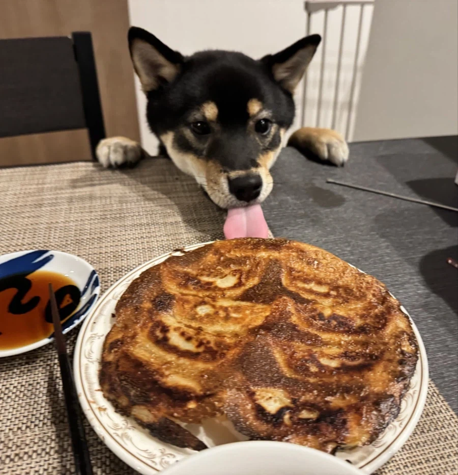 할짝 할짝 할짝 핥핥핥_1.webp