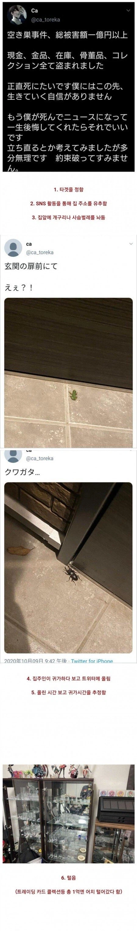 치밀한 빡대가리 도둑_1.webp