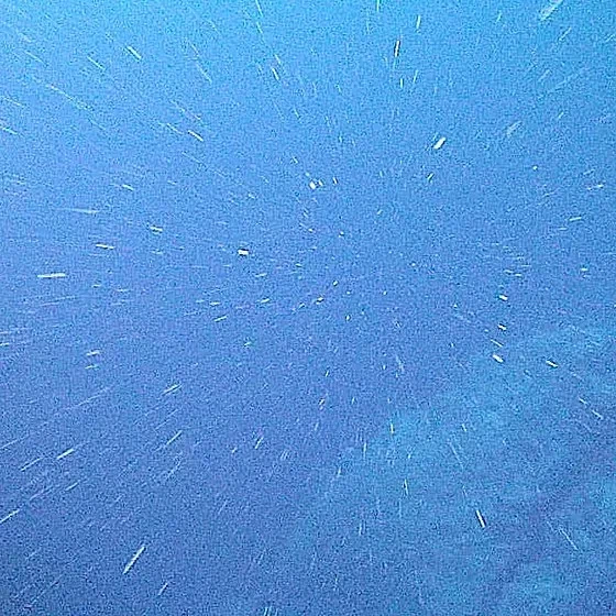 심해 생물이 살아가는대 필수품_1.webp