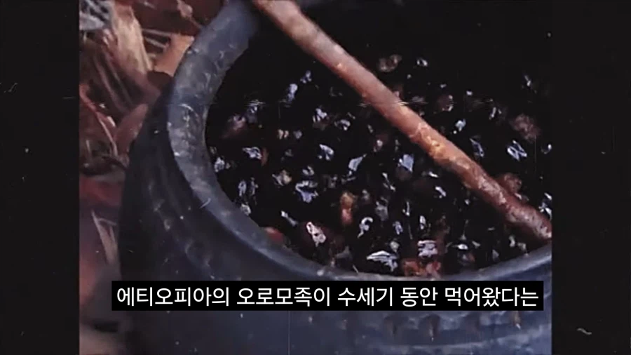 최초로 커피를 섭취했을것으로 추정되는 인류_1.webp