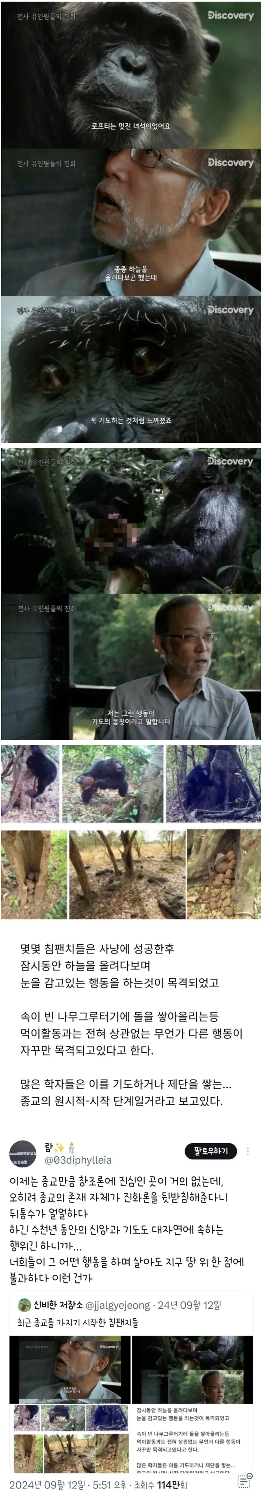 초기 종교를 만들고 있는 침팬지 무리_1.webp