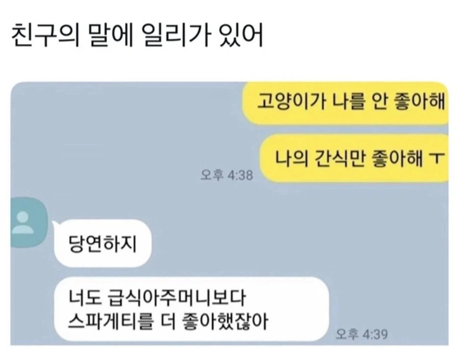 고양이가 먹이만 좋아하고 나를 안좋아해_1.webp