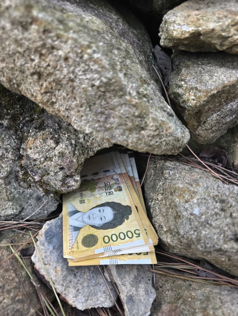 뒷산 갔다가 돈 50만원 주웠다는 디시인.jpg_3.webp