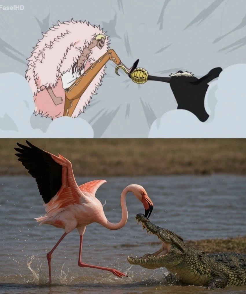 도황 진짜 씹 두렵지 않네.jpg_1.webp