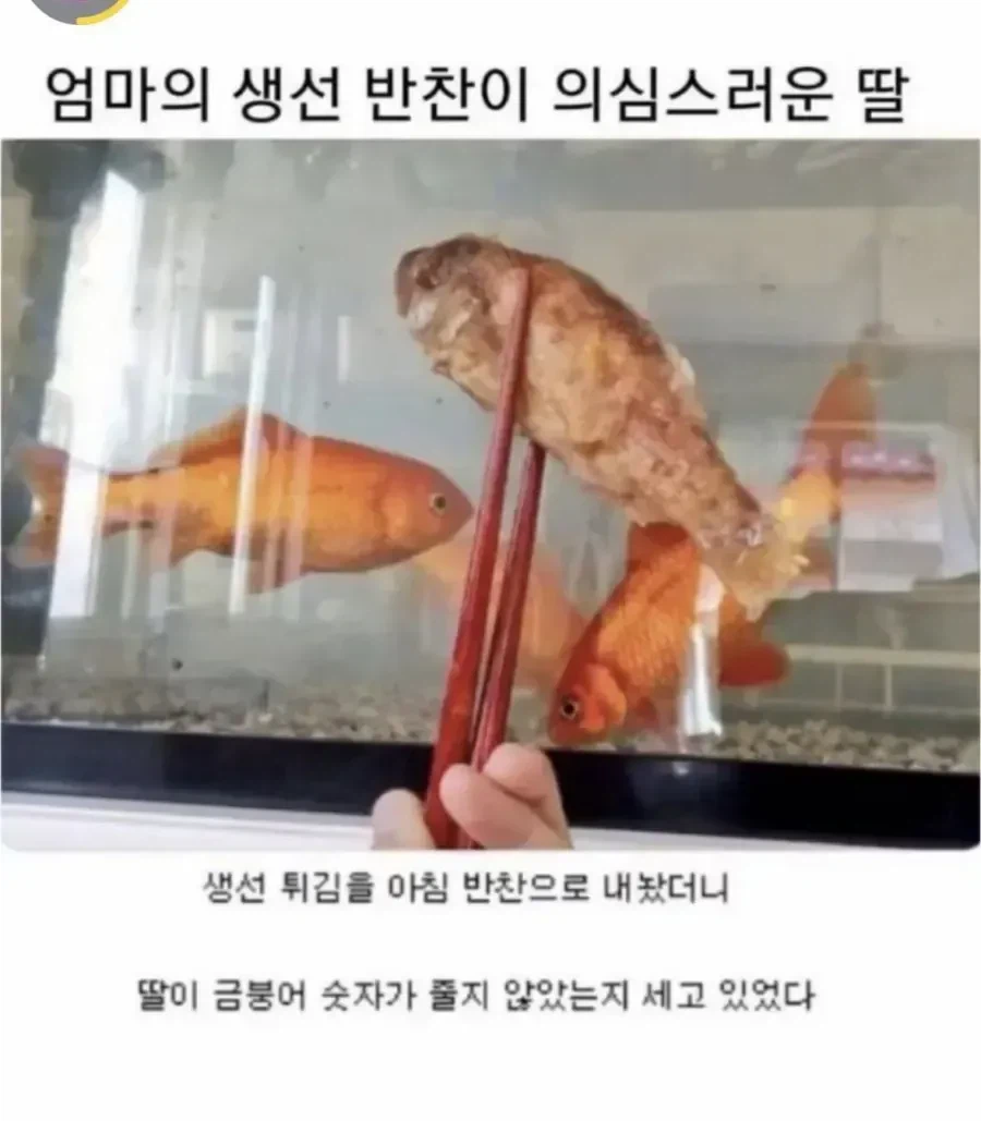 생선반찬이 의심스러운 딸_1.webp