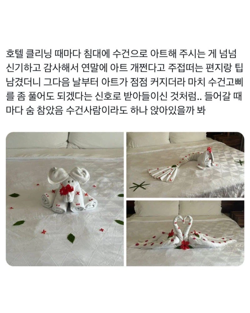 어느 호텔의 수건 아트 서비스 jpg._1.webp