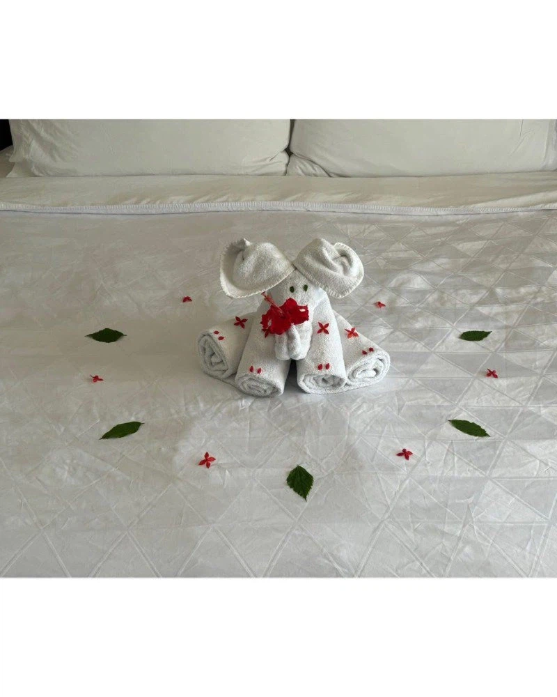 어느 호텔의 수건 아트 서비스 jpg._2.webp