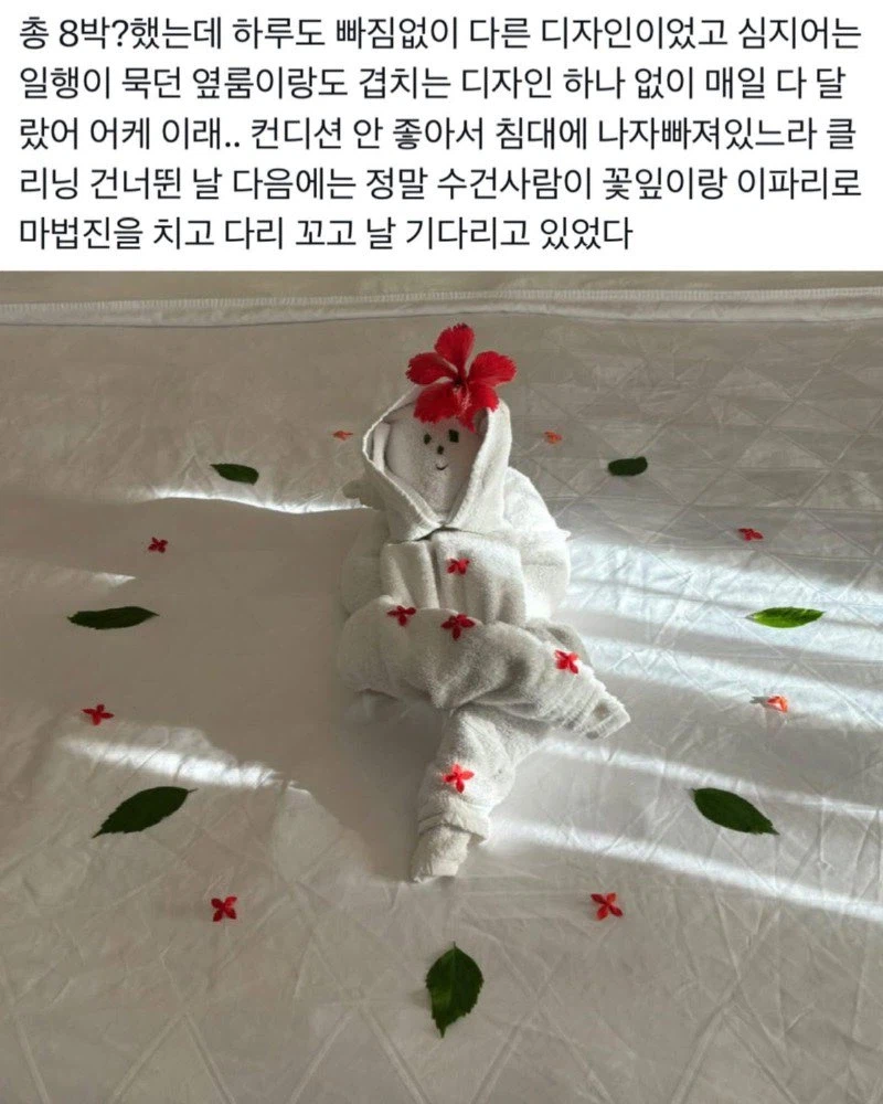 어느 호텔의 수건 아트 서비스 jpg._3.webp