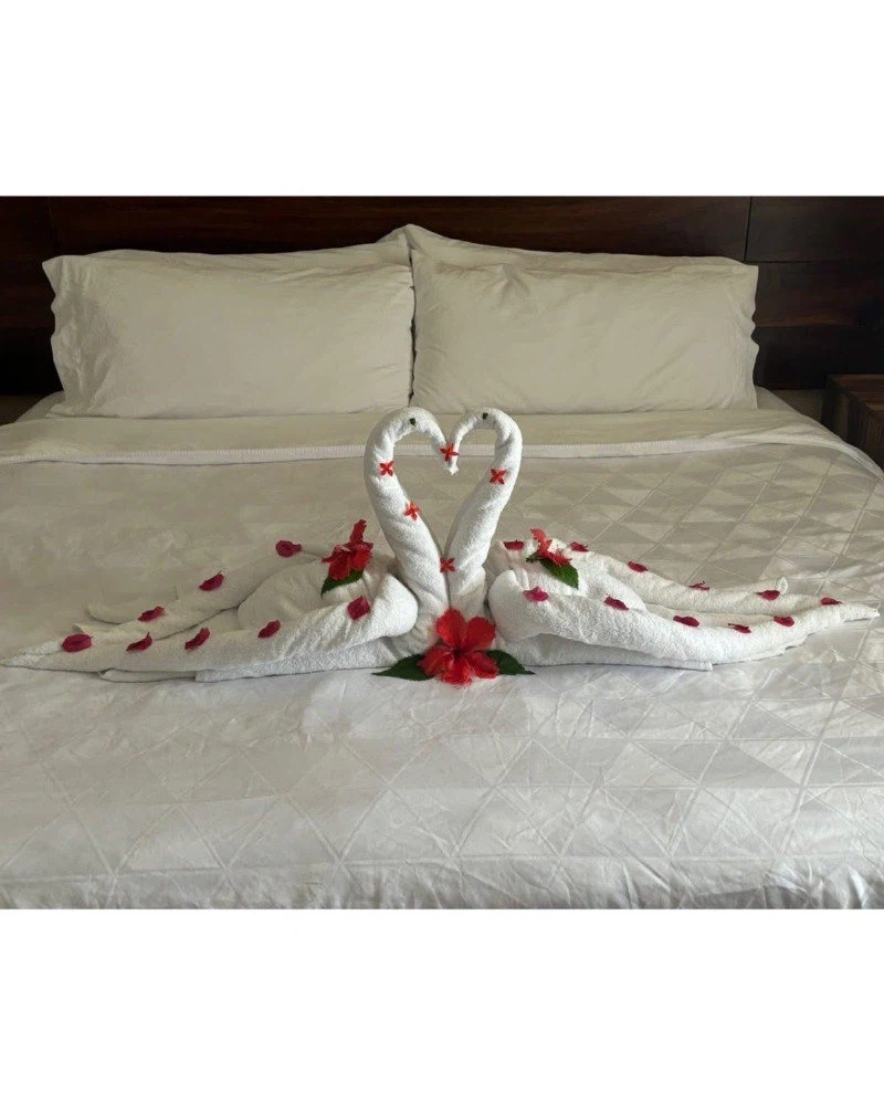 어느 호텔의 수건 아트 서비스 jpg._5.webp