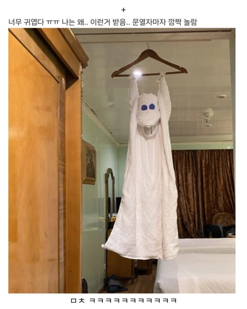 어느 호텔의 수건 아트 서비스 jpg._6.webp