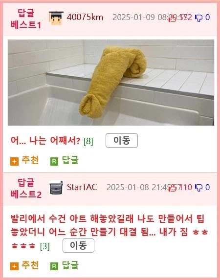 어느 호텔의 수건 아트 서비스 jpg._7.webp