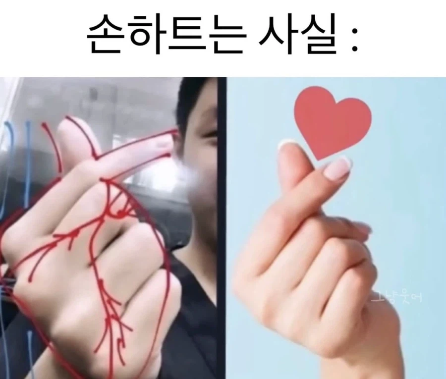 손하트는 사실_1.webp