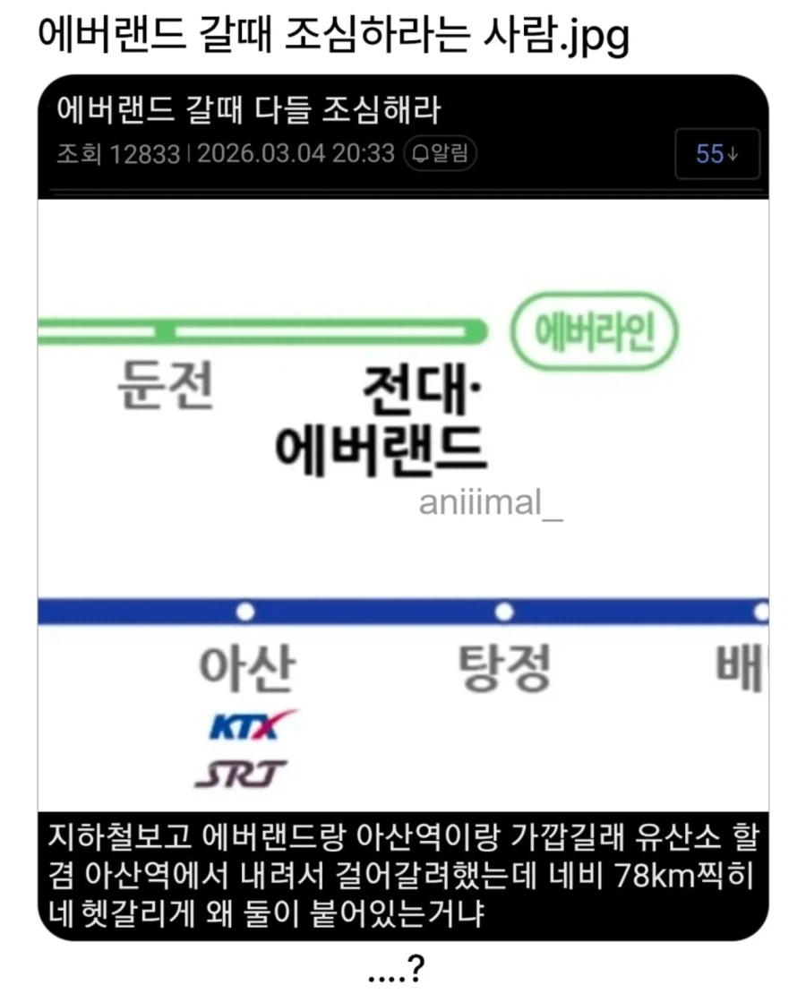 에버랜드 갈 때 조심해라_1.webp
