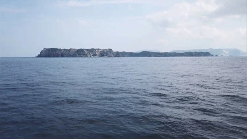 김전일 시리즈 극우 에피소드의 최후_4.webp