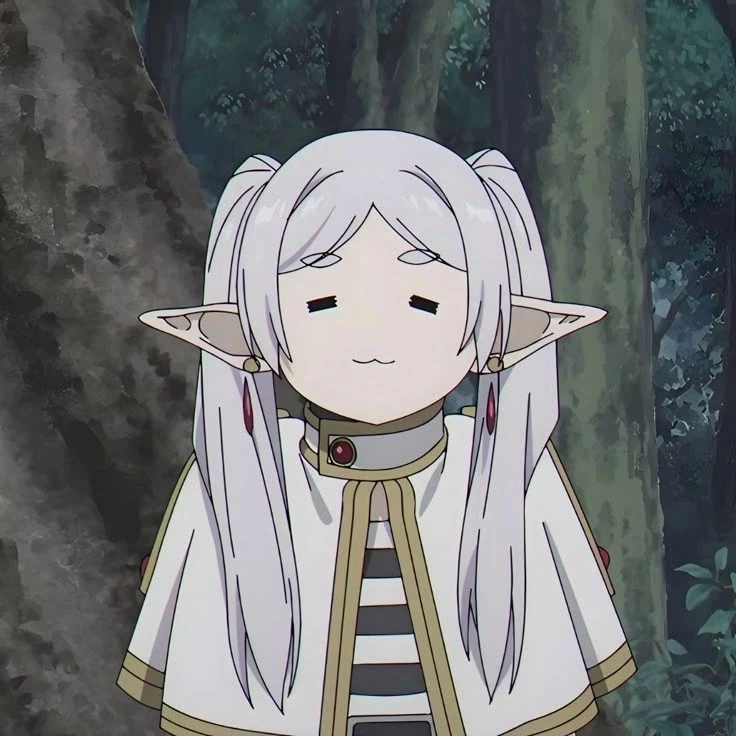 작중 등장인물들이 프리렌을 못 알아보는 이유_2.webp