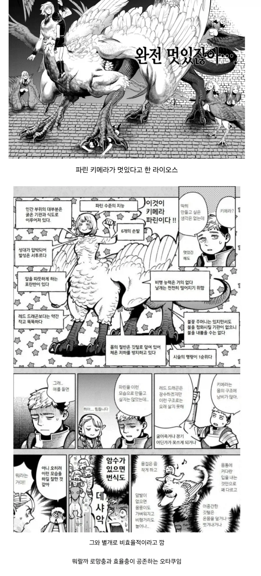 던전밥) 로망은 로망이고, 검증은 검증이고_1.webp