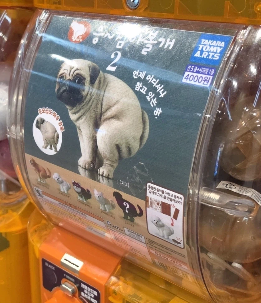 니들 똥싸는 강아지 피규어 본적있냐?_1.webp