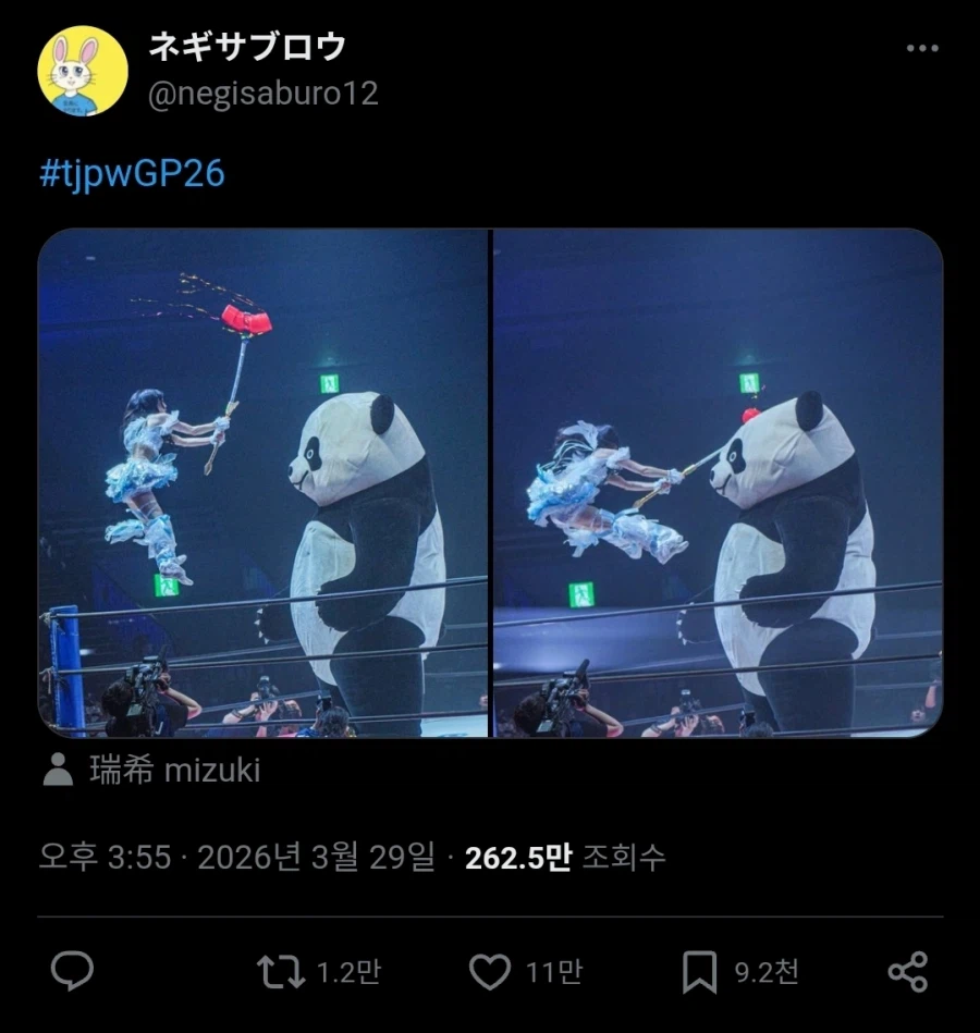 일본 레슬링 뽕망치로 거대곰돌이 떄리는 짤 최신 업뎃.jpg_2.webp