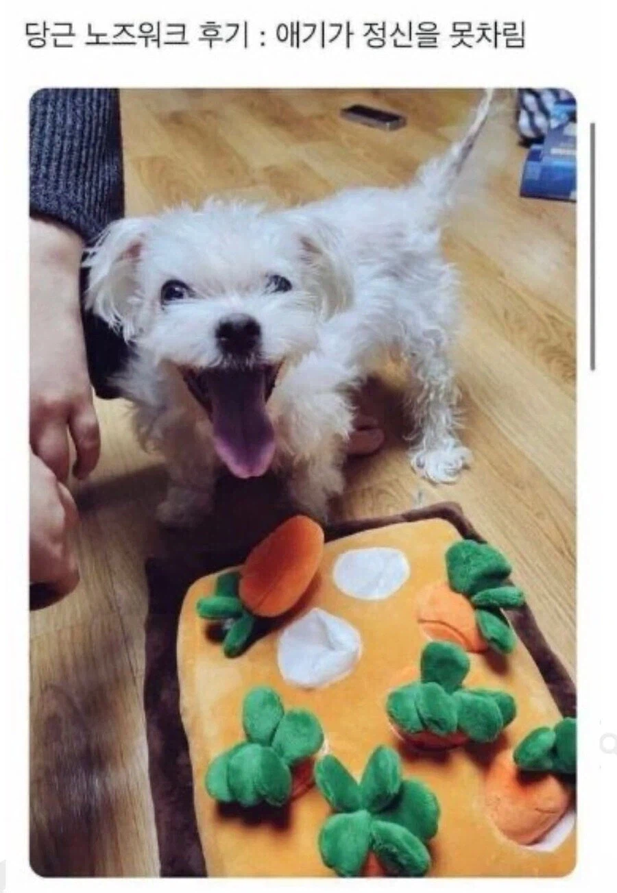 처음으로 장난감 사준 날_1.webp