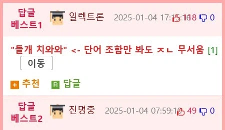 치와와에 대한 가장 큰 오해 jpg._2.webp