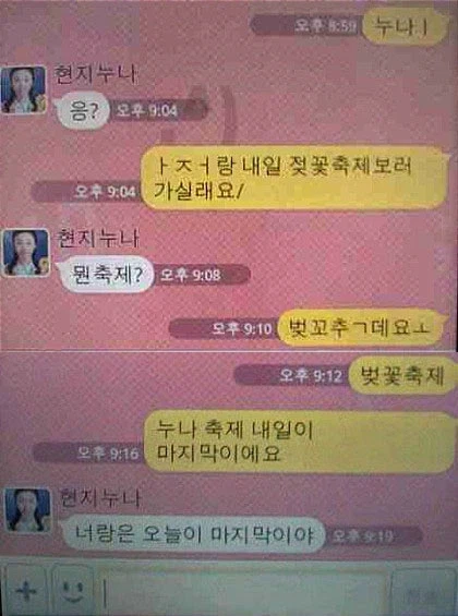 벚꽃필때 보면 좋은_1.webp